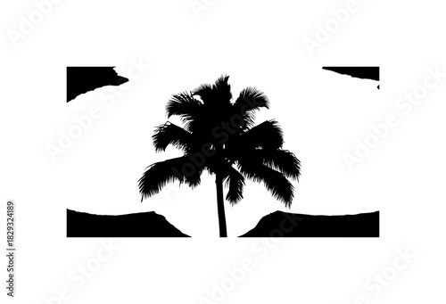 Tropical palm tree silhouette casting strong shadows evokes exotic vacation vibes instantly