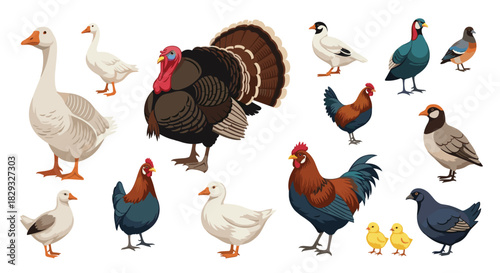 A collection of various farm birds including geese, turkeys, chickens, and pigeons.