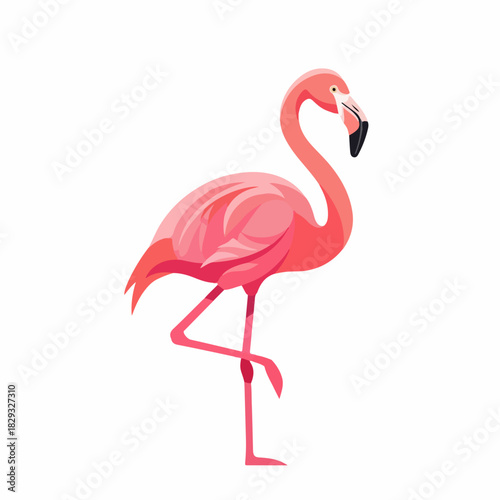 Graceful Pink Flamingo Standing on One Leg in a Stylized Flat Vector Illustration Isolated on White Background