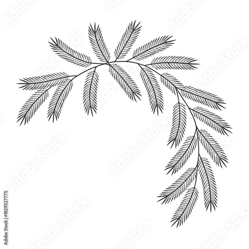 Black outline drawing of a curved pine branch with needles tree