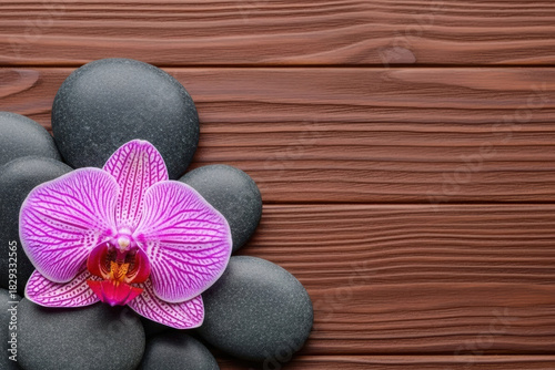 A vibrant fuchsia orchid bloom nestled among smooth grey stones,
