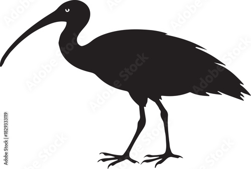 Black silhouette of a fish with visible fins and a simple design