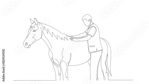 A minimalist line art illustration of an equine veterinarian examining a standing horse's back during a medical checkup.