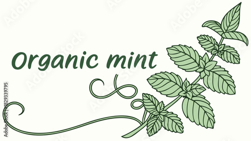 Vibrant organic mint sprigs adorn this visually appealing design, perfect for tea packaging, herbal products, or fresh culinary branding with natural elegance
