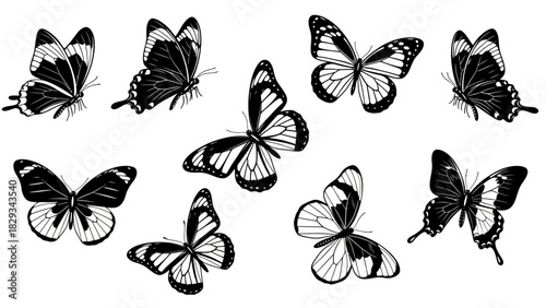 Elegant Black and White Butterfly Collection - A Vector Illustration of Graceful Insects