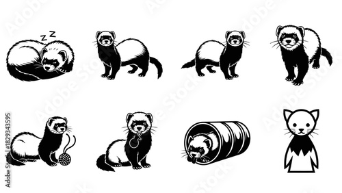 Collection of Black and White Ferret Illustrations Depicting Various Poses and Activities