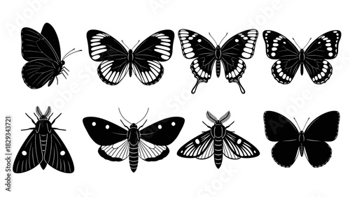 Elegant collection of various monochrome butterfly and moth species in silhouette style