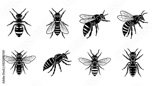 Monochrome vector illustrations featuring various stylized depictions of bees in differing poses