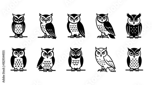 Collection of ten different owl illustrations in silhouette against a white background, animal