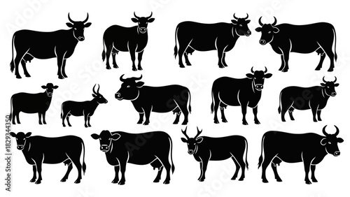 Black and white illustration showcasing diverse cattle breeds and variations with horns