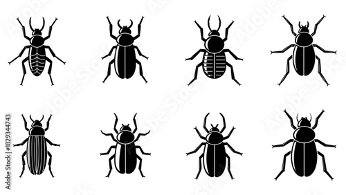 Detailed vector illustrations of various beetle species showcasing unique anatomical features and