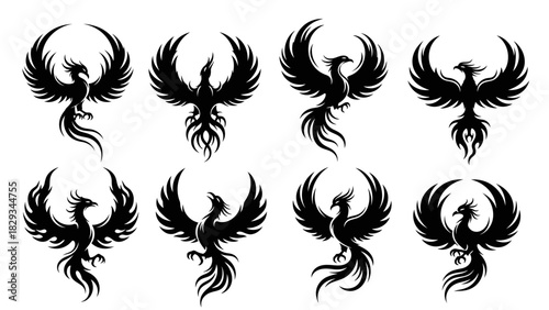 Collection of phoenix bird illustrations featuring various stylized designs and poses