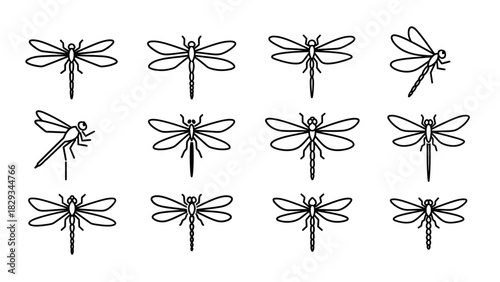 Elegant dragonfly line art collection showcasing diverse poses and intricate wing patterns ideal