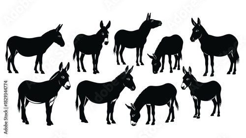Collection of Detailed Donkey Silhouettes in Various Poses, Perfect for Animal and Farm Designs