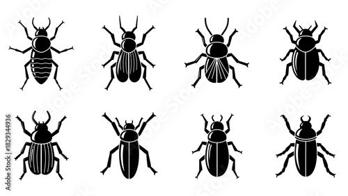 Set of eight different beetle illustrations, minimalist and monochrome style insect design