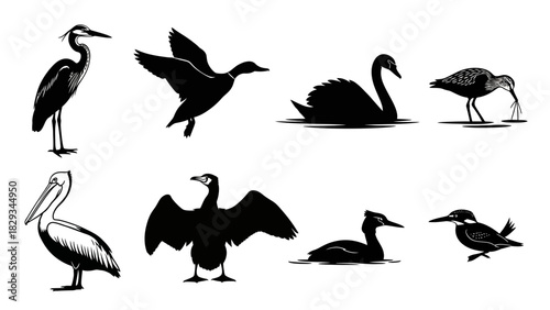 Elegant Collection of Diverse Bird Species Silhouettes on White Background Design
