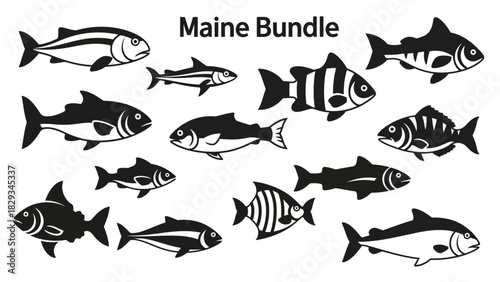 Collection of Different Fish Silhouettes in Black and White for Various Projects