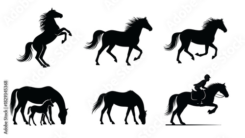 Elegant horse silhouette collection featuring various poses and activities in black and white