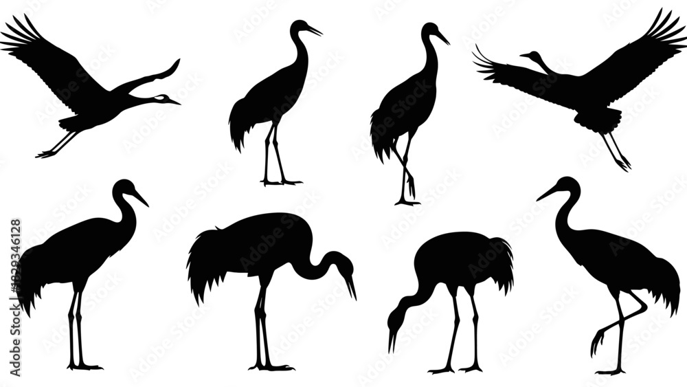 Obraz premium Elegant silhouettes of majestic cranes in various poses against a serene backdrop