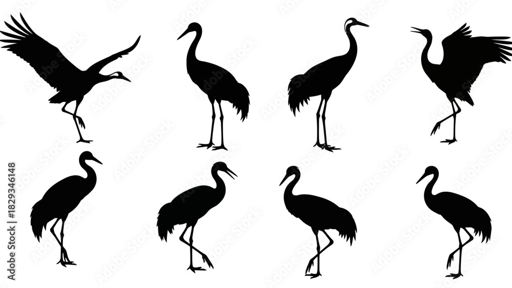 Obraz premium Elegant silhouettes of diverse crane bird poses against a clean white backdrop creating a