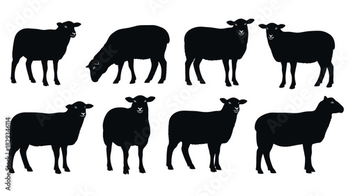 Silhouette Collection of Sheep: Diverse Poses for Creative Animal-Themed Designs