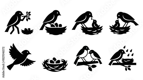 Collection of black vector bird icon illustrations with nests representing life cycles nature