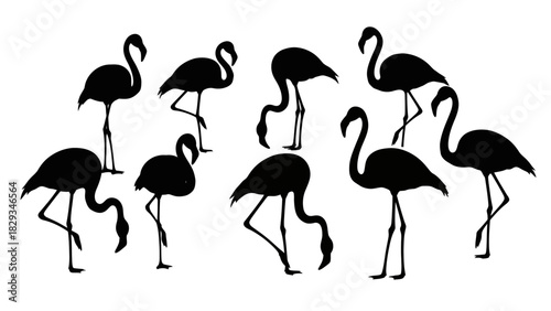 Elegant flamingo silhouettes against white backdrop offering design versatility, suitable for a