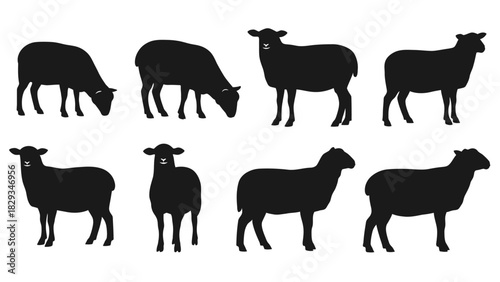 Silhouette flock of sheep vector illustration in various poses isolated on white background