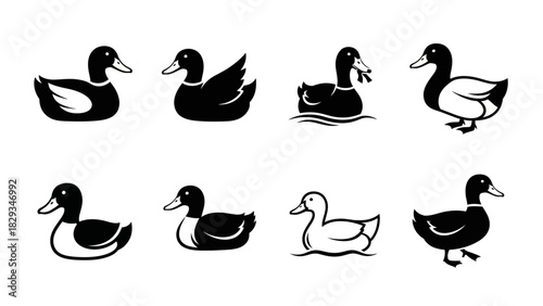 Elegant duck silhouette collection offering a versatile design asset featuring diverse poses and