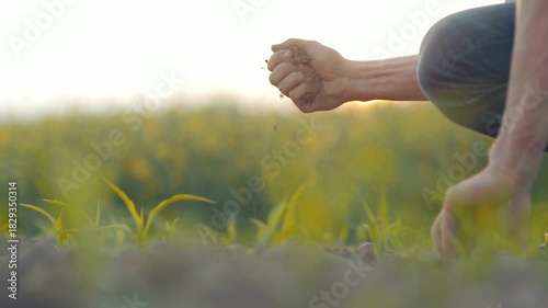 man with handful of soil outdoors. farmer hand hold soil to monitoring soil health, fertility and quality on a farm. Male hands holding ecologically controlled re-constituted soil.