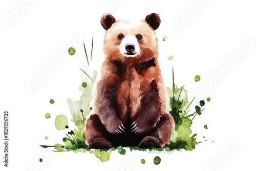 brown bear hand drawn Watercolor animals illustration. wild grizzly bears set with green abstract splashes