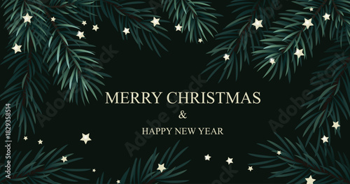 Christmas background with green spruce branch on dark background. Vector illustration