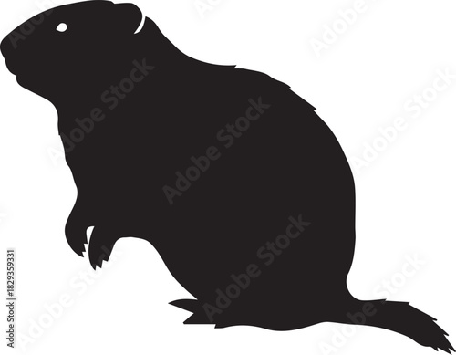 Silhouette of a groundhog standing on its hind legs