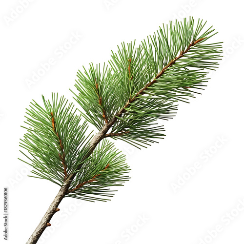 branch of a pine Soft Pine Tree Branch with Green Needles for Christmas Decor