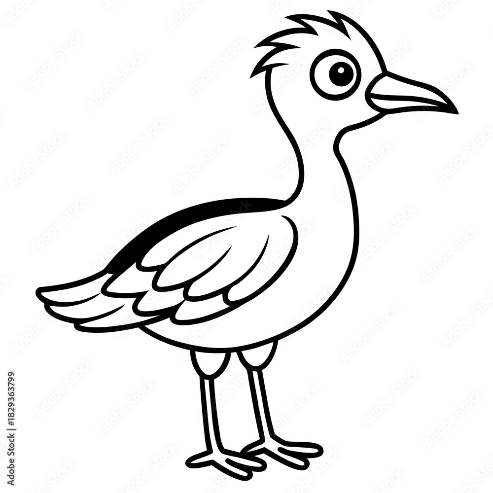 Fototapeta premium duck isolated on white