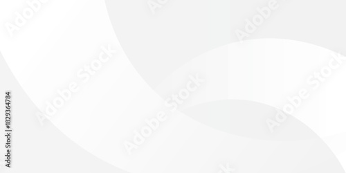 Abstract minimalist white and gray curve modern background. texture white pattern. vector illustration