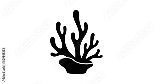 Coral reef silhouette with transparent background