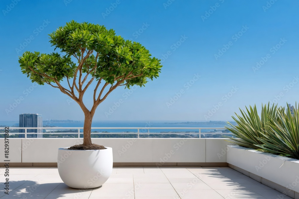 Fototapeta premium Potted tree on modern rooftop balcony overlooking ocean