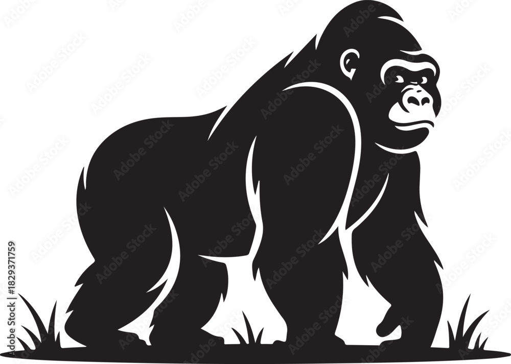 Obraz premium Powerful gorilla graphic silhouette illustration vector image design element
