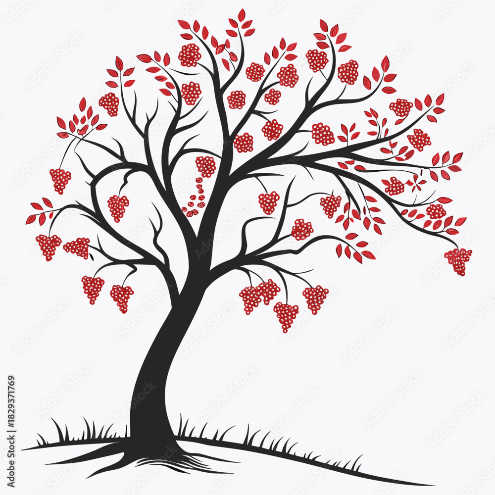 Fototapeta premium red grape tree on white background