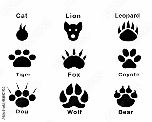 Collection of animal paw prints and head silhouettes
