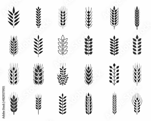 Collection of various wheat and grain stalk icons
