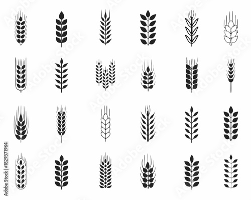 Collection of wheat and barley ear icons in black and white