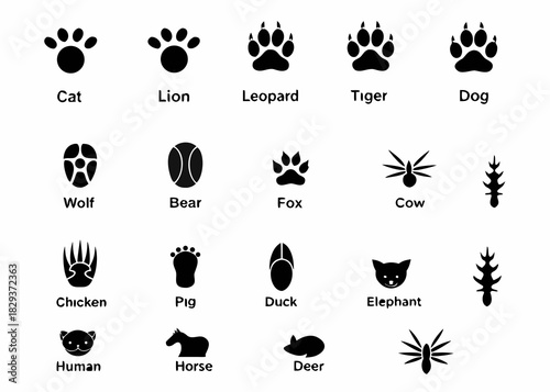 Collection of animal footprints and tracks icons