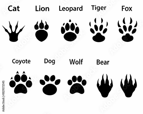 Collection of animal paw prints and footprints with labels