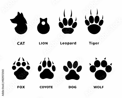 Collection of animal paw prints and silhouettes for identification