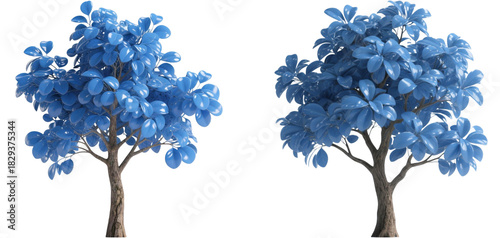 Fototapeta Naklejka Na Ścianę i Meble -  木　植物　自然　青