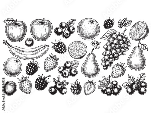 Berries and fruits drawing collection. Hand drawn berry and fruit sketch. Vector illustration. Engraved style