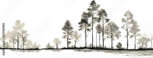 Sepia toned sketch of diverse trees and foliage along a reflective water edge forest nature