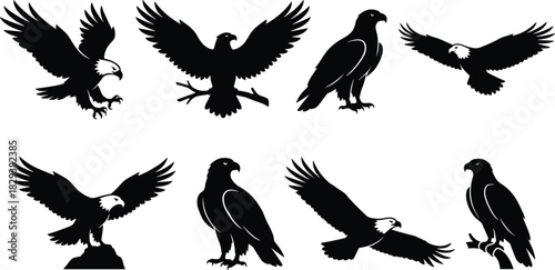 Black Silhouettes of Eagles in Dynamic Flying, Perching, and Standing Poses for Wildlife, Nature, Emblem, and Graphic Design Projects